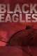 Černí orli: Stíhačky Třetí říše
