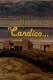 Candico