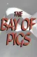 The Bay of Pigs
