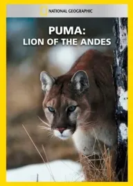 Puma: andský lev