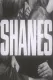 Shanes