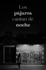 Los pájaros cantan de noche
