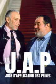 JAP, juge d'application des peines, Le
