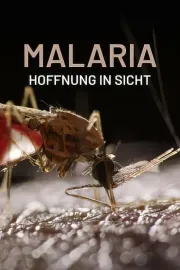 Malaria, Hoffnung in Sicht