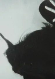 プロローグ・エピローグ