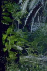 Lettres au Docteur L