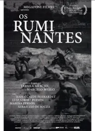 Os Ruminantes