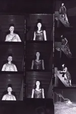 Csodálatos mandarin