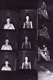 Csodálatos mandarin