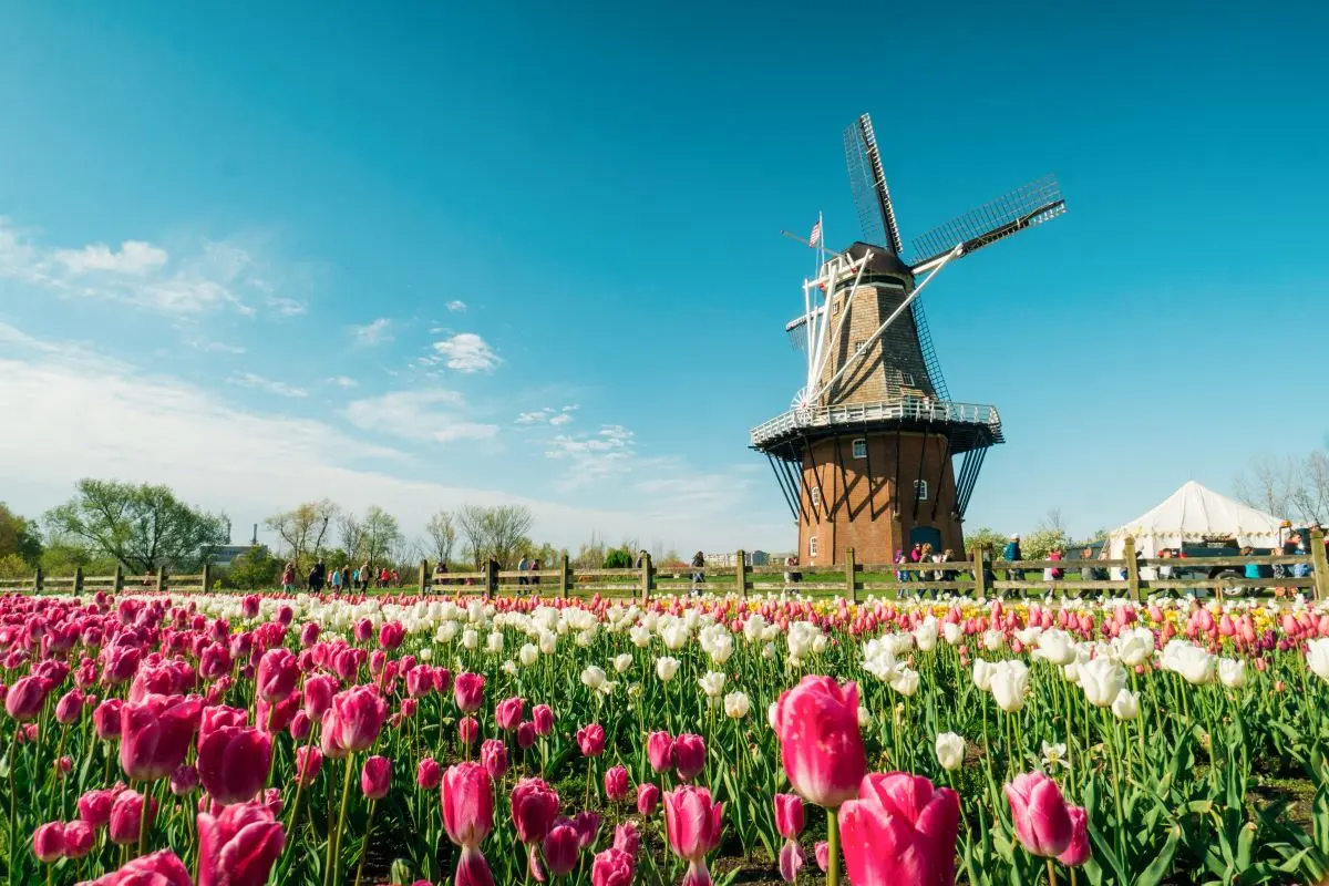 Windmill Island Gardens
