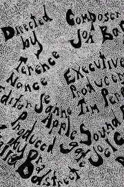 Jimi Could Have Fallen from the Sky