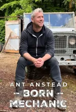 Ant Anstead: Rozený mechanik