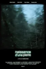 Naissance d'une pierre