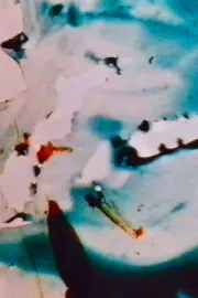 SB (One Minute for Vienna)