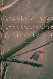 Tiché údolí v čase