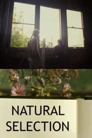 Natural Selection