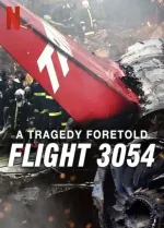 Let 3054: Tragédie podle předpovědi