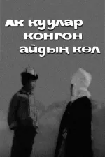 Ак куулар конгон айдың көл