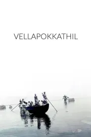 വെള്ളപ്പൊക്കത്തിൽ