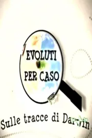 Evoluti per Caso