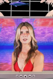 But...You're A Dolphin!