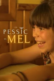Un pessic de mel