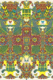 Butterfly 3000: Ocular Edition