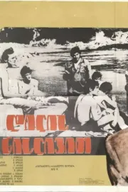 Like the morning mist