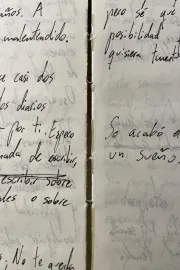 Releyendo mi diario (Autorretrato)