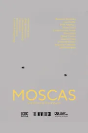 Moscas