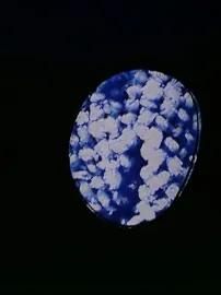 Eyewash (Alternate Version)