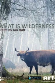 Was ist Wildnis