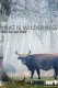 Was ist Wildnis