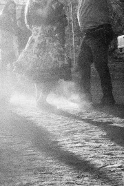 Festejos en el Parque O'Higgins