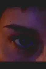 La Noche y el Universo