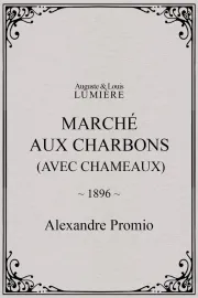 Marché aux charbons (avec chameaux)