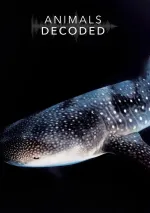 Dešifrování zvířecí řeči