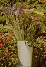 Flower Sun Mountain Vase