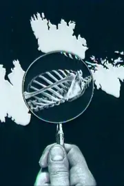 Photomontage Today: Peter Kennard