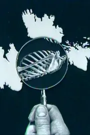 Photomontage Today: Peter Kennard