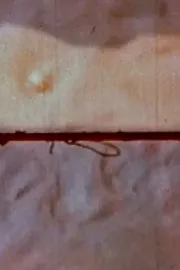 Ghost Dance Wildwest Suite, Part III