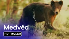 Medvěd: trailer