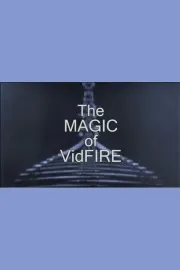 The Magic of VidFIRE