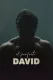The Perfect David