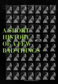 A Short History of a Few Bad Things