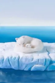 The Boy Who Cheated Death