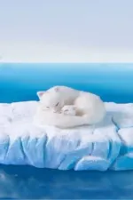 The Boy Who Cheated Death