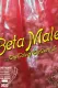 Beta Male