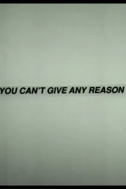 You Can't Give Any Reason