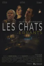 Les chats errants